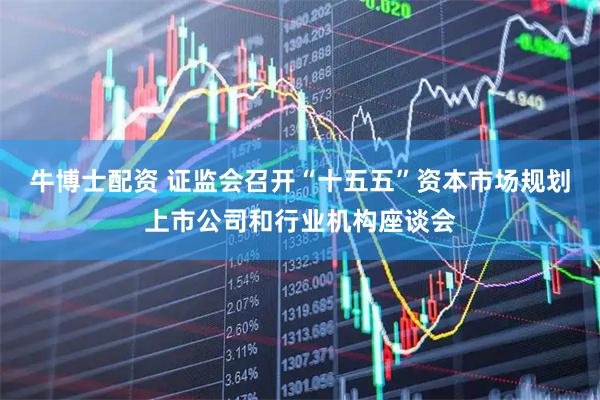 牛博士配资 证监会召开“十五五”资本市场规划上市公司和行业机构座谈会