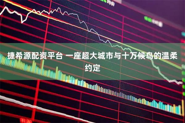 捷希源配资平台 一座超大城市与十万候鸟的温柔约定