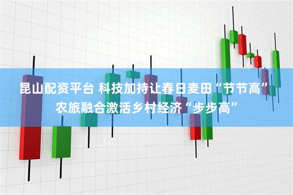 昆山配资平台 科技加持让春日麦田“节节高” 农旅融合激活乡村经济“步步高”